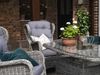 Gartensessel Rosita von Brafab aus Kunst-Rattan mit Outdoor-Kissen, klassisch, grau Bild 3