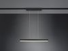 LED Pendelleuchte PAROS Schwarz, Breite 90cm für DUOline Schienensystem Bild 3