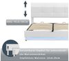 STILVORA Polsterbett 180x200 Jugendbett mit LED Beleuchtung & Bettkasten,Bett ohne Matratze (mit LED Beleuchtung & Hydraulisch anhebbarer Bettstauraum, Bettkasten & Lattenrost Bezug aus Kunstleder), ohne Matratze Bild 3