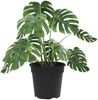 vidaXL Runder Blumentopf 24 pcs Schwarz Ø 19 x 16 cm Kunststoff 42020278 Bild 3