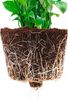 ECOPOTS Blumentopf Brussels hängend 27 Weiß, für innen und außen: frostsicher, bruchsicher und lichtbeständig Bild 3