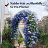 Brixy - Rosenbogen - Gartenbogen - Rankhilfe - Blumenbogen - Für Kletterpflanzen - Metall - 240 x 140 x 38 cm - Schwarz Bild 5