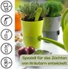 4er Set Kräutertopf mit Bewässerungssystem Kräutertopf Küche Indoor Kräutergarten Fensterbank Blumentopf Selbstbewässerungstopf Basilikum Pflanzentopf Grün 11 cm Bild 4