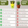 4er Set Kräutertopf mit Bewässerungssystem Kräutertopf Küche Indoor Kräutergarten Fensterbank Blumentopf Selbstbewässerungstopf Basilikum Pflanzentopf Grün 11 cm Bild 3