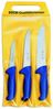 F. DICK Ausbeinmesser Dick Messer ErgoGrip 3-tlg, Ausbeinmesser 13cm Stechmesser 18cm Bild 2