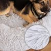 lionto Donut Hundebett, rundes Hundesofa mit Plüschbezug & Anti-Rutsch-Noppen, weich & gemütlich, 70 cm Durchmesser, hellgrau Bild 4