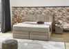 Boxspringbett APE Bild 5
