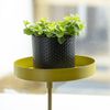 Esschert Design Blumentopfhalter mit Klemme Rund Golden S 441012 Bild 4