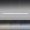 Paul Neuhaus 2738-95 PURE-LUME LED Pendelleuchte aluminium CCT Sensordimmer Bild 5