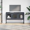 vidaXL TV-Schrank Anthrazit 100,5x39x60,5 cm Kaltgewalzter Stahl 853340 Bild 4