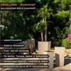 Engelland Pflanzkübel Blumentopf aus recyceltem Kunststoff & Holz (WPC), Rillenoptik (UV-beständig, wetterfest), Blumenkübel für Garten, Balkon, Terrasse, Innen- und Außenbereich Bild 2