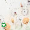 Estella Bio Mako Satin Bettwäsche 135x200 Estrella Pusteblume Löwenzahn 3413-230 Bild 3