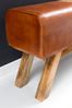 Sitzbank Bank BULL Massivholz Echtleder Braun mit Box 120x29x53cm Bild 3