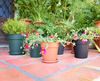 Artevasi Blumentopfuntersetzer Redondo Kunststoff rund terrakotta matt Ø 55 cm Bild 3