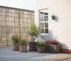 Artevasi Blumentopfuntersetzer Redondo Kunststoff rund terrakotta matt Ø 55 cm Bild 4