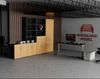 Rheinland Möbel Flügeltürenschrank Cabino 80×42×75 cm – abschließbarer Aktenschrank 2OH in Graphit/Buche mit 110° Drehtüren & Metallgriff Bild 5