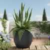 Keramik Blumentopf Eggpot Anthrazit Ø 38cm - Frostfest Pflanzkübel Grau Rund Bild 5