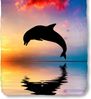 Good Morning Bettwäsche 2707 Dolphin Multi 135 x 200 + 80 x 80 cm Bild 3