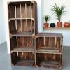 Holzkisten mit Regalfach Kurz 50 x 40 x 30cm Vintage Geflammt Bild 4