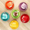 MamboCat Tasse 6er Set Uni bunt Cappuccinotassen mit Untertassen 200ml Kaffee Tee, Steingut Bild 3