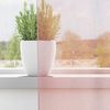 vidaXL Voile Vorhänge mit Ösen 2 Stk. Hellrosa 140x175 cm 4102084 Bild 3