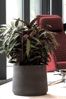 finestgreen Pflanzkübel Handgefertigtes Pflanzgefäß Patt Bild 5