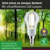 Eco-Line Filament 230V LED Tropfen E14 3er-Set 100mm 3x525lm 3x2,5W 3000K Klar Bild 3