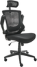Bürostuhl PALADIN Schwarz Bild 5