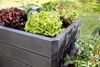 Garantia Hochbeet Ergo Quadro S 50 60 x 60 x 50 cm, stone, Wassersystem Bild 2