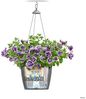 LECHUZA Blumenampel NIDO Cottage 35 ALL-IN-ONE Graphitschwarz 441323 Bild 4