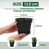 T4U 12,5cm Plastik Blumentopf Set Schwarz mit Untersetzer, 6er-Set Sukkulenten Bild 2