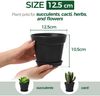 T4U 12,5cm Plastik Blumentopf Set Schwarz mit Untersetzer, 6er-Set Sukkulenten Bild 5