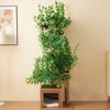 Merax Kratzbaum in Baumform mit 4 Plattformen und Katzenlöchern, MDF braun, 60 x 45 x 190 cm Bild 5