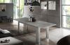 Esstisch >Jesolo< in Zement - 140x75x90cm (BxHxT) Bild 2