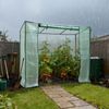 Home Nature Wohnkonzept Tomatengewächshaus Gewächshaus 171,5 × 79,5 × 204 cm – Foliengewächshaus für Balkon und Garten – Stabil, Winterfest, Grün Bild 5