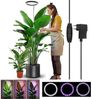 Jibenhome Pflanzenlampe 160LEDs Vollspektrum Pflanzenleuchte, mit Zeitschaltuhr, für große Pflanzen, Höhenverstellbares, 3 Modi und 9 Helligkeit Bild 2