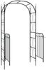vidaXL Gartenbogen mit Tor Schwarz 108x45x235 cm Stahl 319352 Bild 5
