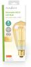 LED-Filament-Lampe E27 | ST64 | 4.9 W | 470 lm | 2100 K | Dimmbar | Extra warmweiß | Retro Style | 1 Stück Bild 3