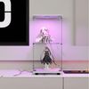 Furnishings Home Vitrine Glasvitrine stehend LED Standvitrine mit Glastüren, 2 bis 4 Ebenen (40.3 x 36.5 x 86.2 cm, 2 Fächer, Mit Sicherheitsschloss) Mit LED-Beleuchtung, Ladefunktion, Samt, 90x200 cm,perfekt für Sammler Bild 3