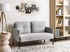 2-Sitzer Sofa grau LAHTI Bild 3