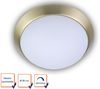 LED Deckenleuchte Deckenschale Opalglas matt Dekorring Messing matt, Ø 30cm Bild 2