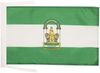 AZ FLAG - Flagge Andalusien - 45x30 cm Mit Kordel - Andalusien Fahne 30x45 Cm - Flaggen Bild 1