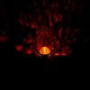 2er Set LED Solarleuchten, verschiedene Flammen Designs Bild 5