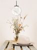 Fabas Luce 3770-40-372 LED Pendelleuchte Ariel 1-flammig 15cm transparent 3 Step Dim Bild 2