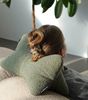 mokebo Nackenrolle Der Leseknochen, aus Bouclé Stoff, Leseknochen oder Nackenkissen aus gemütlichen Bouclé Stoff Bild 2