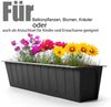 BigDean 4 Stück Paletten Blumenkästen Einsatz in Anthrazit – Pflanzkasten zum Bepflanzen & Dekorieren – Balkonkasten für Kräuter, Blumen & Pflanzen – UV-stabiler & wetterbeständiger Kunststoff Bild 4