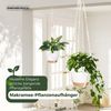 Bamworld Hängekorb Makramé-Hängekörbchen-Set 3er, 3 selbstbewässernde Töpfe + Haken (3 St), Boho-Dekoration aus Baumwollseil – Platzsparend & Umweltfreundlich Bild 3