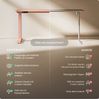 Desktronic HomeOne Elektrisch höhenverstellbarer Schreibtisch 160x80cm Rosa/Weiß mit Memory-Funktion, Anti-Kollisions Technologie, USB-A und USB-C-Ladeanschlüssen Bild 5