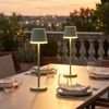LED Solar Tischleuchte, blassgrün, 2 Höhen möglich, H 41 cm Bild 3