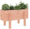 vidaXL Pflanzkübel 62x30x38 cm Massivholz Douglasie 825182 Bild 3